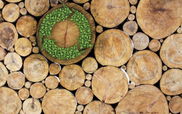 Bois massifs, plots dépareillés et avivés