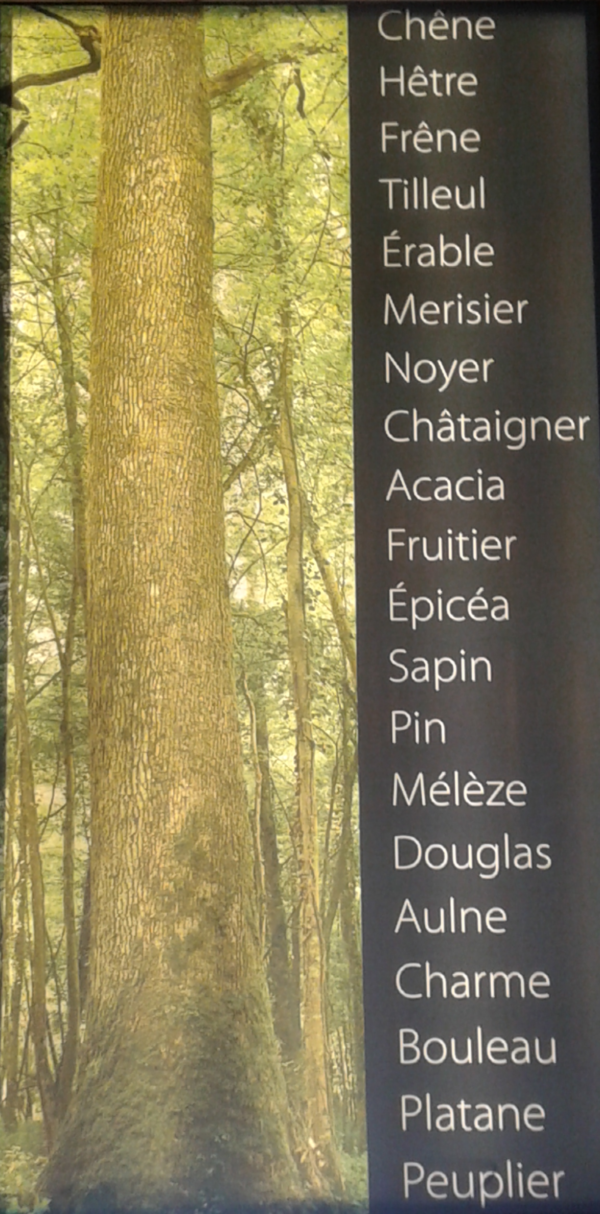 Bois massifs, plots dépareillés et avivés – Image 3